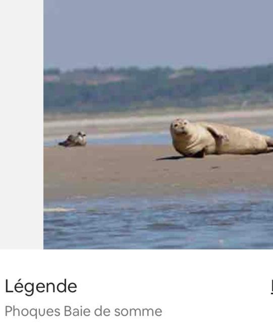 Les Coteaux Vue Mer Criel-sur-Mer Esterno foto
